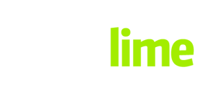 CodiLime_logo_white_lime_400